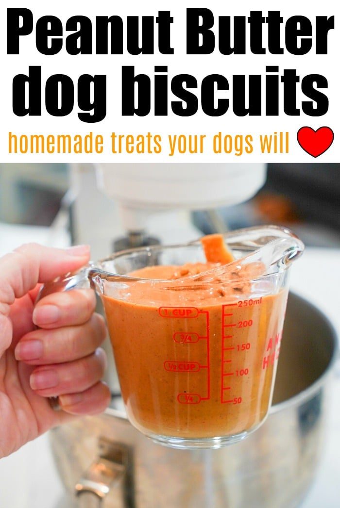 homemade dog biscuits