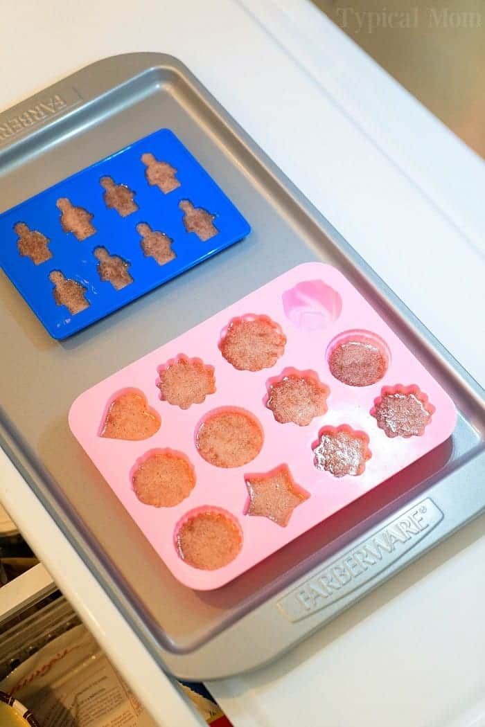 homemade fruit snacks