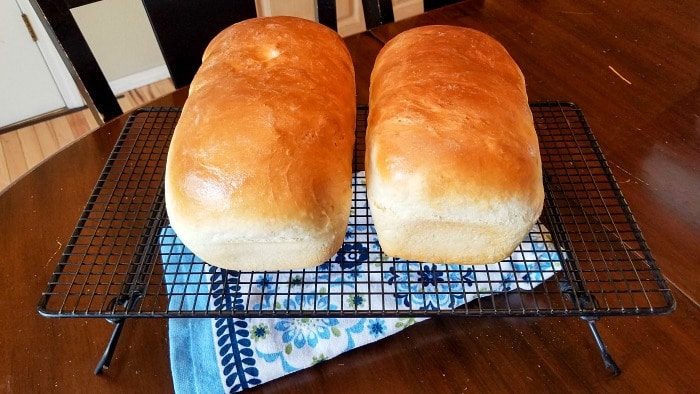 homemade sandwich bread