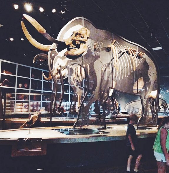 dinosaur museum hemet