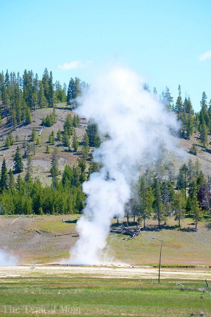 yellowstone geysers