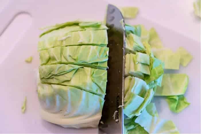 cutting cabbage