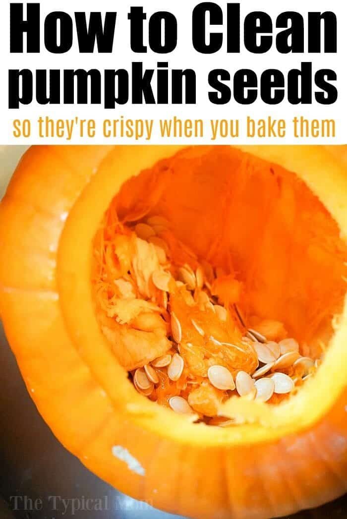 how to clean pumpkin seeds