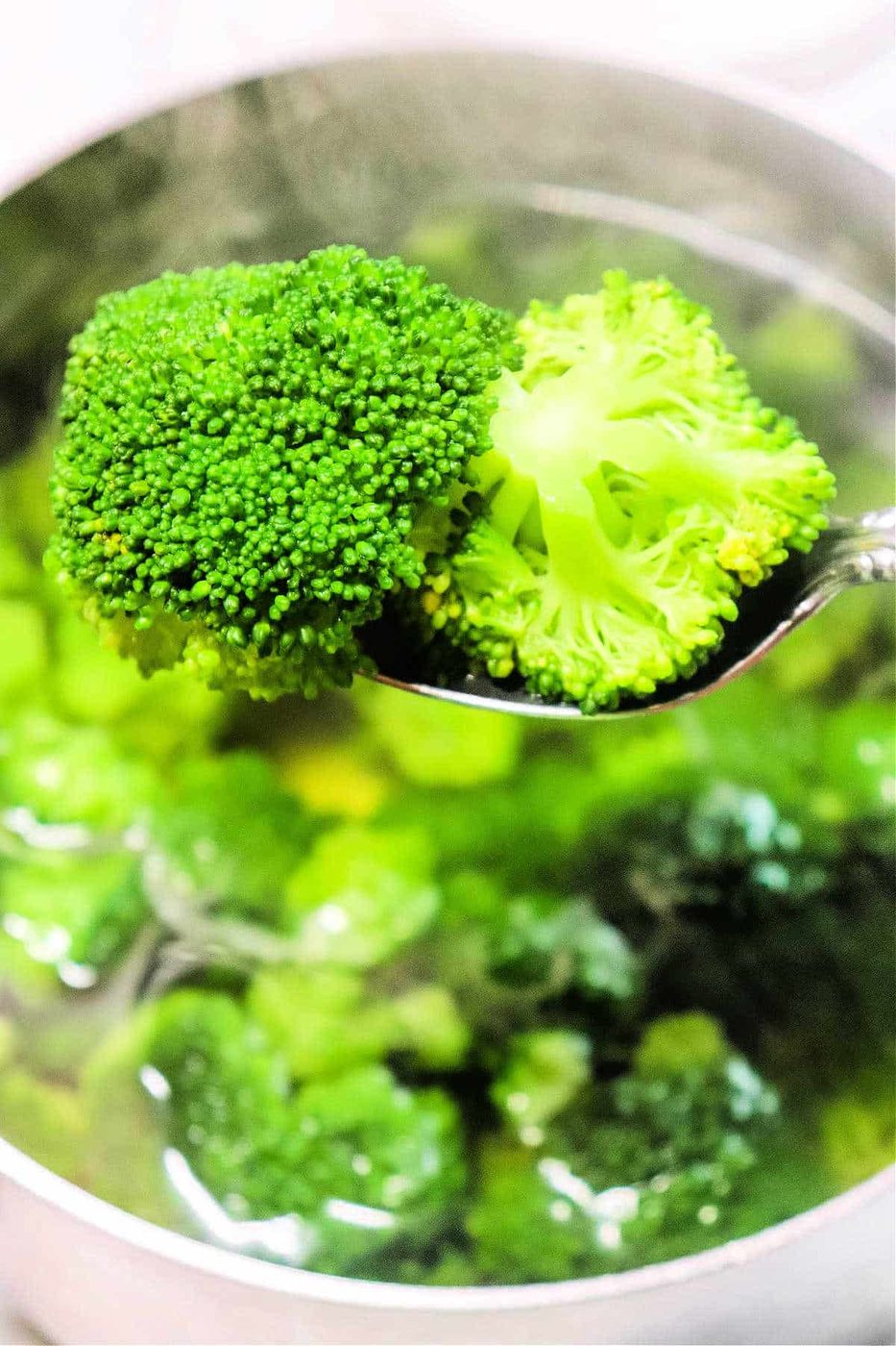 Boil Broccoli