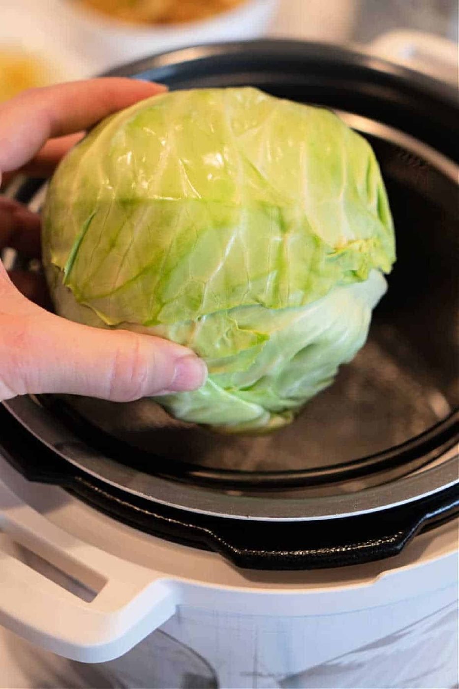 A hand demonstrates how to cook a whole cabbage by placing it into an Instant Pot or electric pressure cooker.