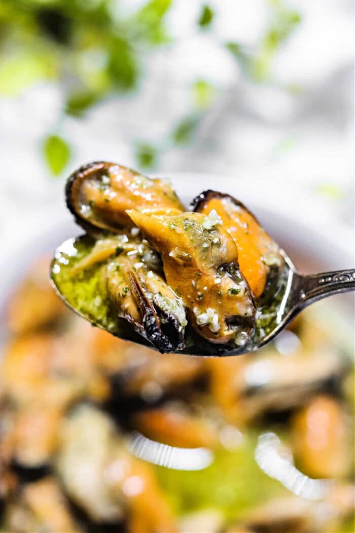 Traeger Mussels