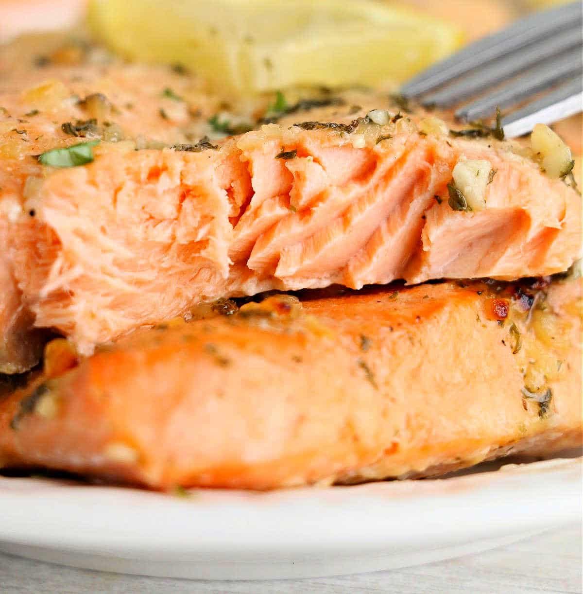 Cook Frozen Salmon