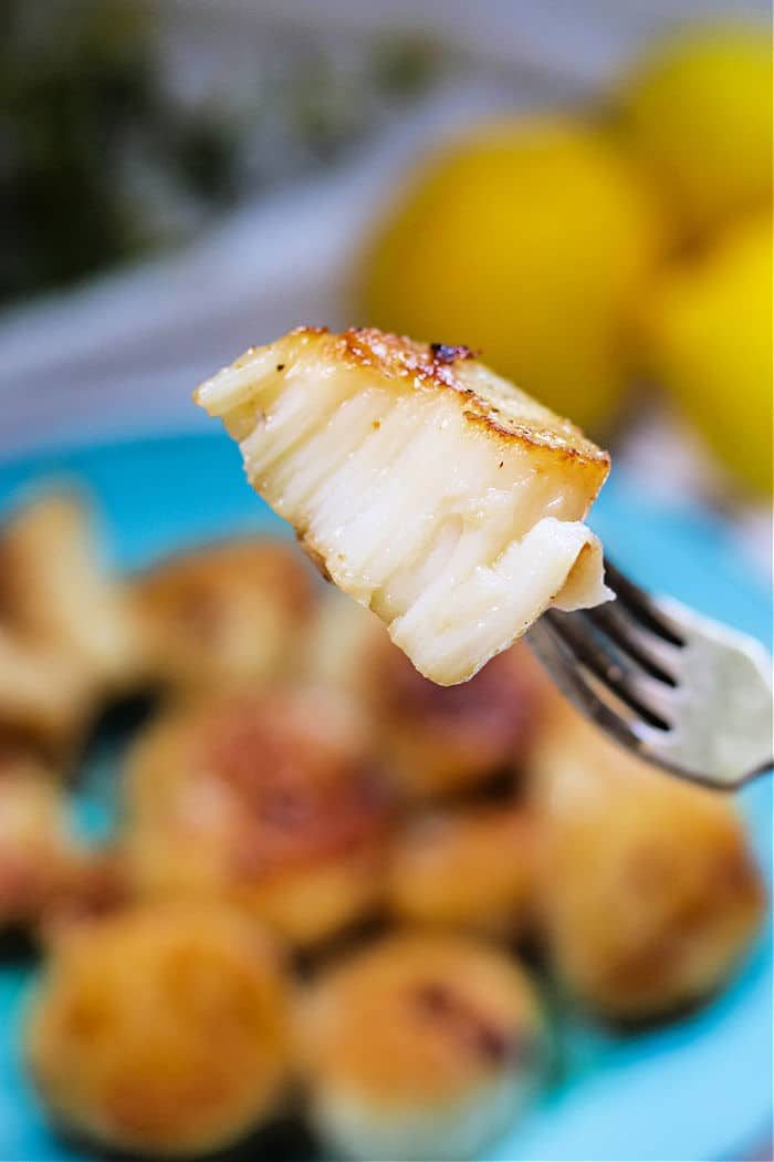 Cook Frozen Scallops