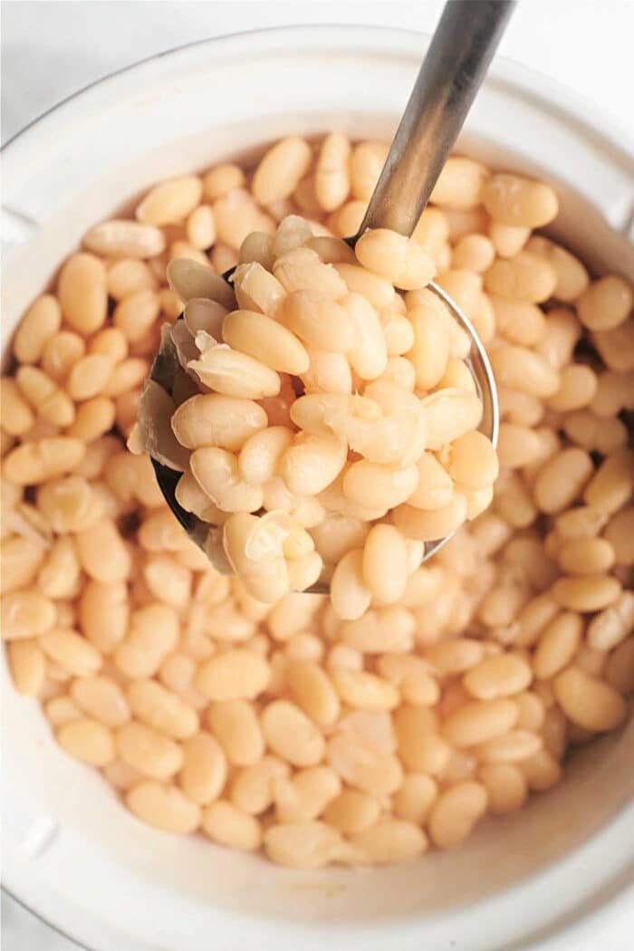 Great Northern Beans
