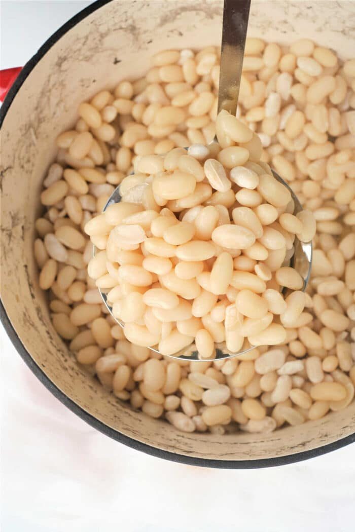 How to Cook Navy Beans