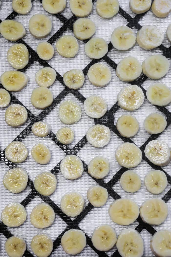 Dehydrating Bananas