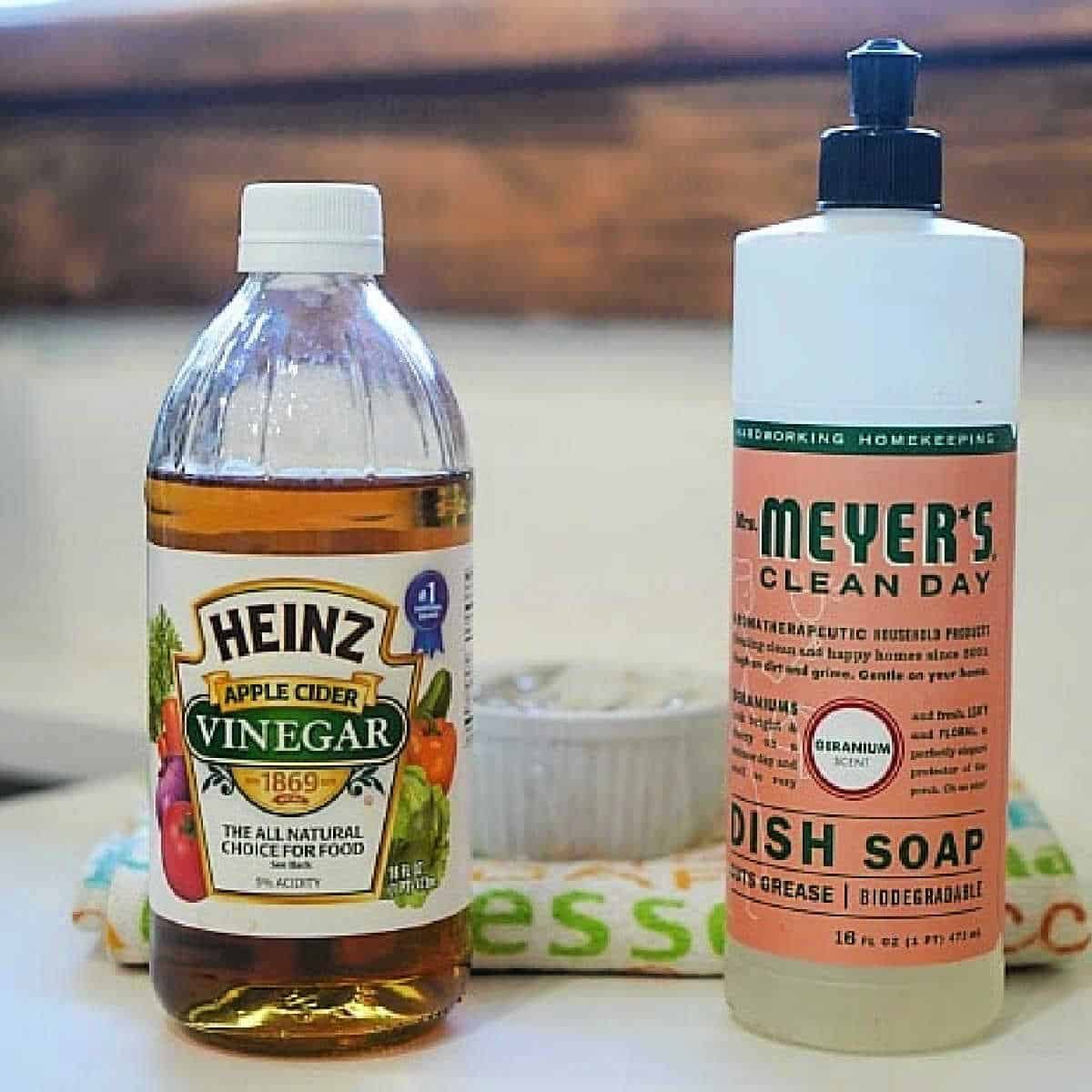 Get Rid of Gnats Naturally