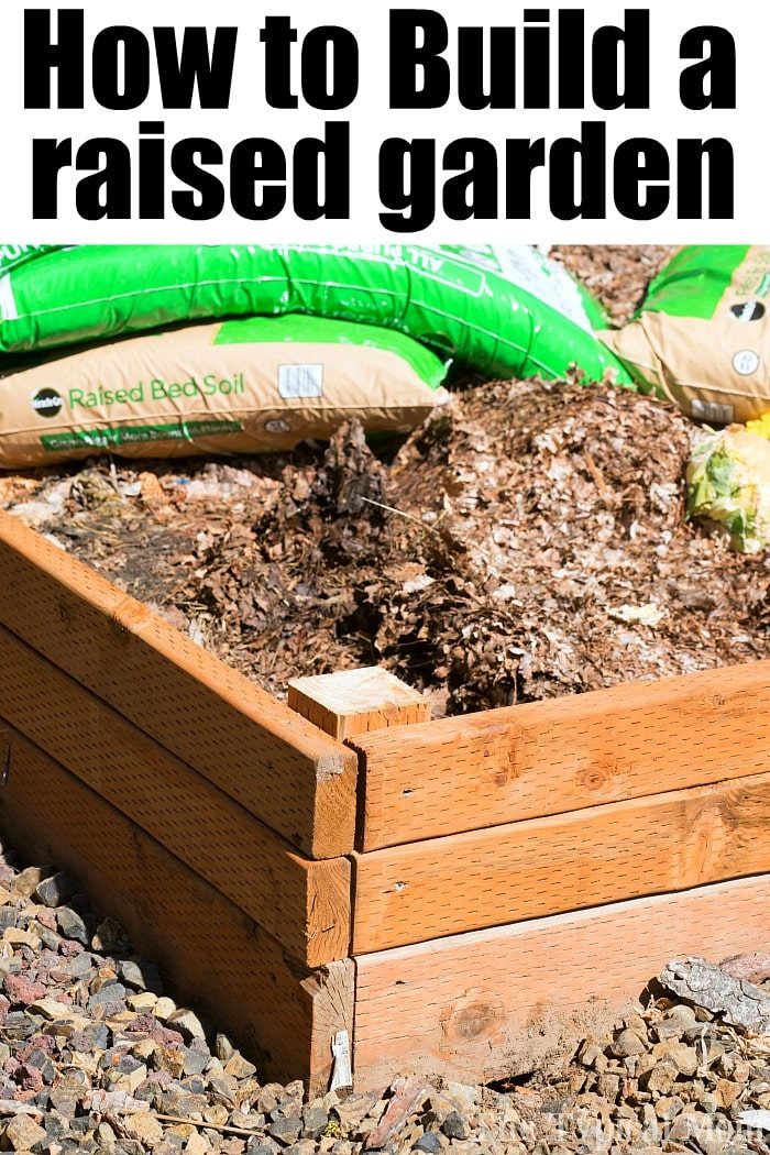 how to start a vegetable garden