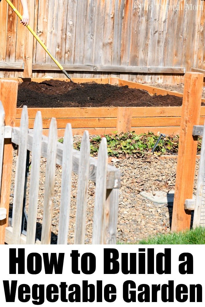 How to Make a Vegetable Garden