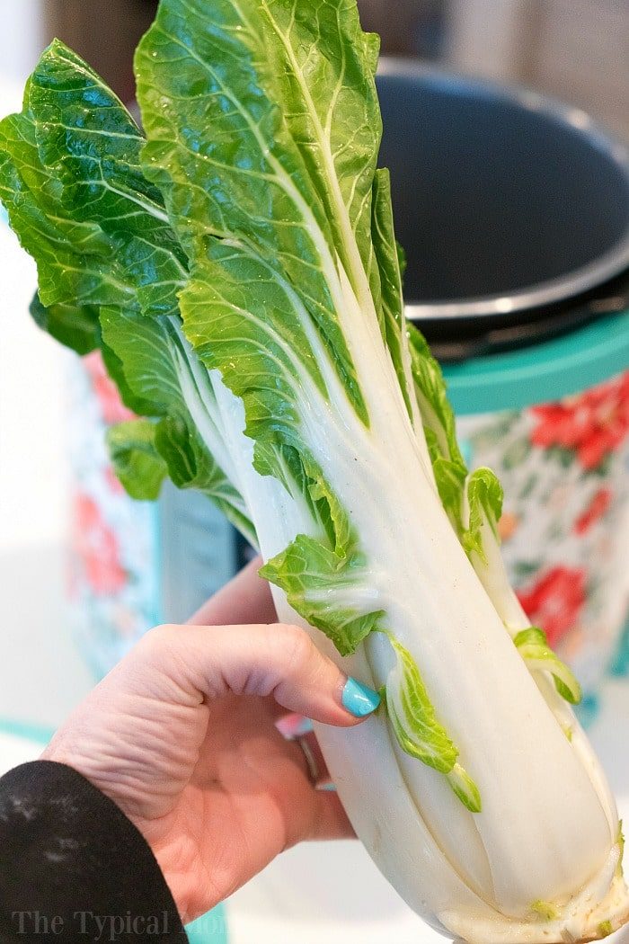 How to Make Bok Choy