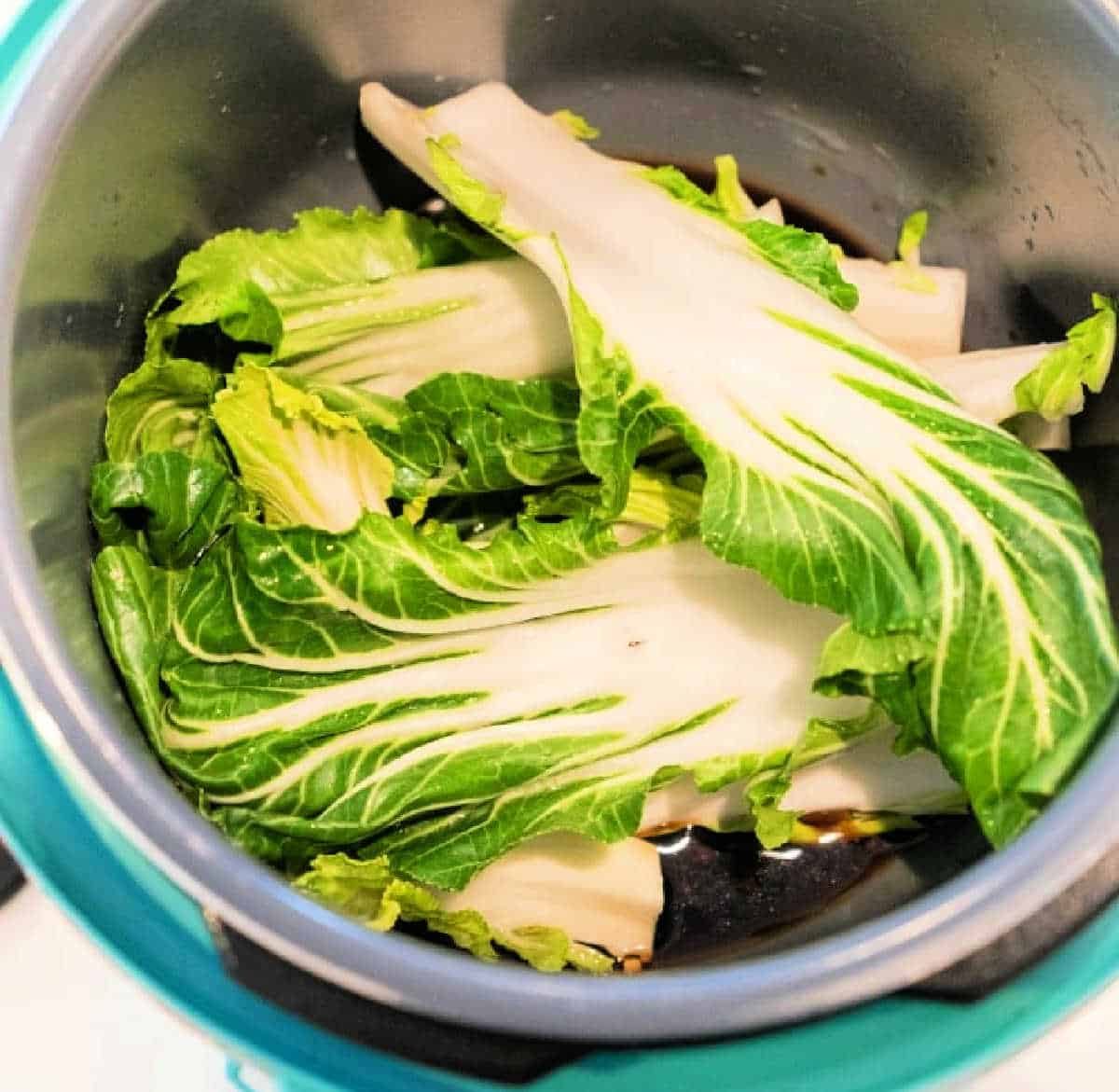 Instant Pot Bok Choy