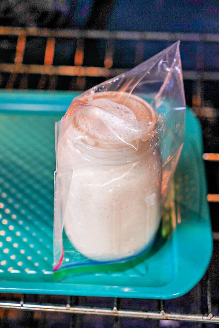 sourdough starter