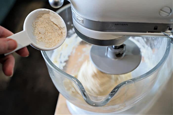 sourdough dough