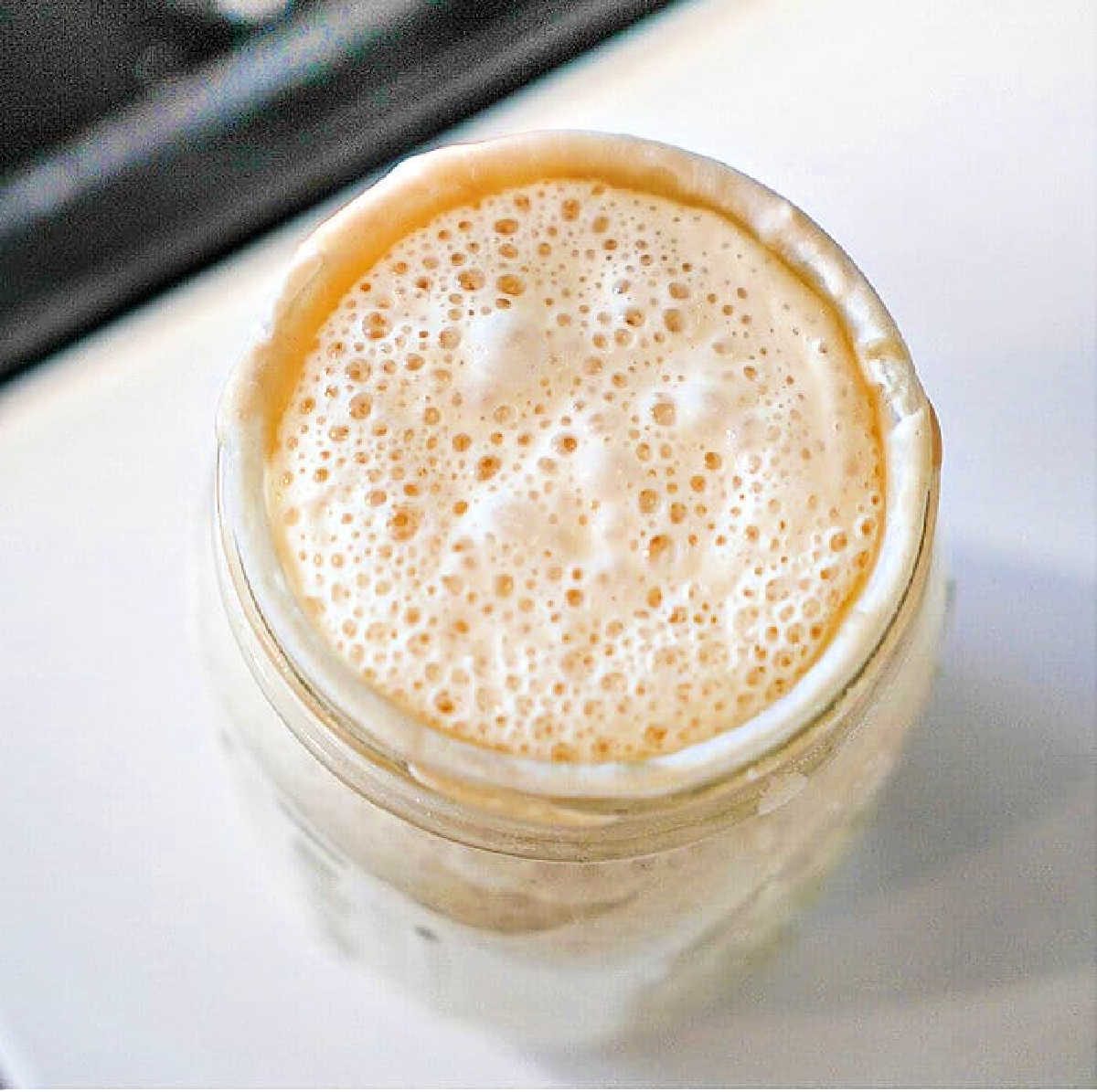 Sourdough Starter and AP Flour