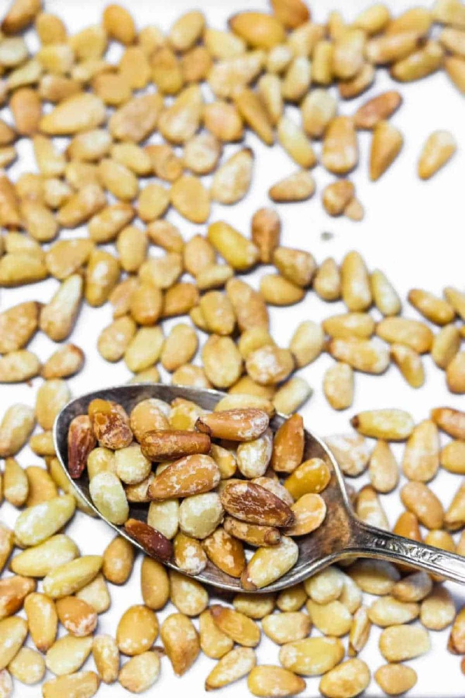 A spoonful of roasted pine nuts, a solid example of how to roast pine nuts, with more pine nuts scattered on a white surface.
