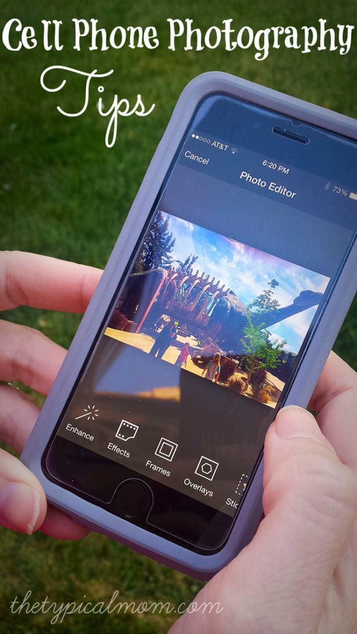 Take the Best Picture and Your Cell Phone