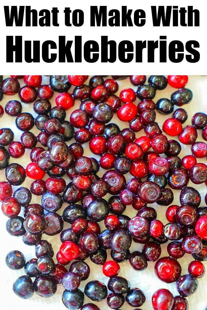 what to make with huckleberries