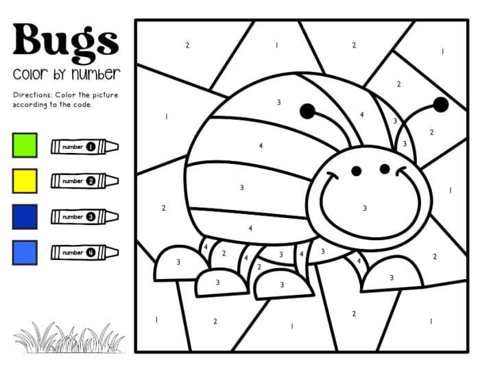 insect color by number