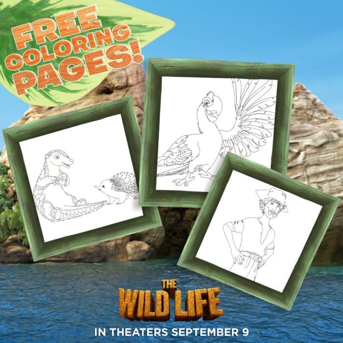 the wild life coloring pages