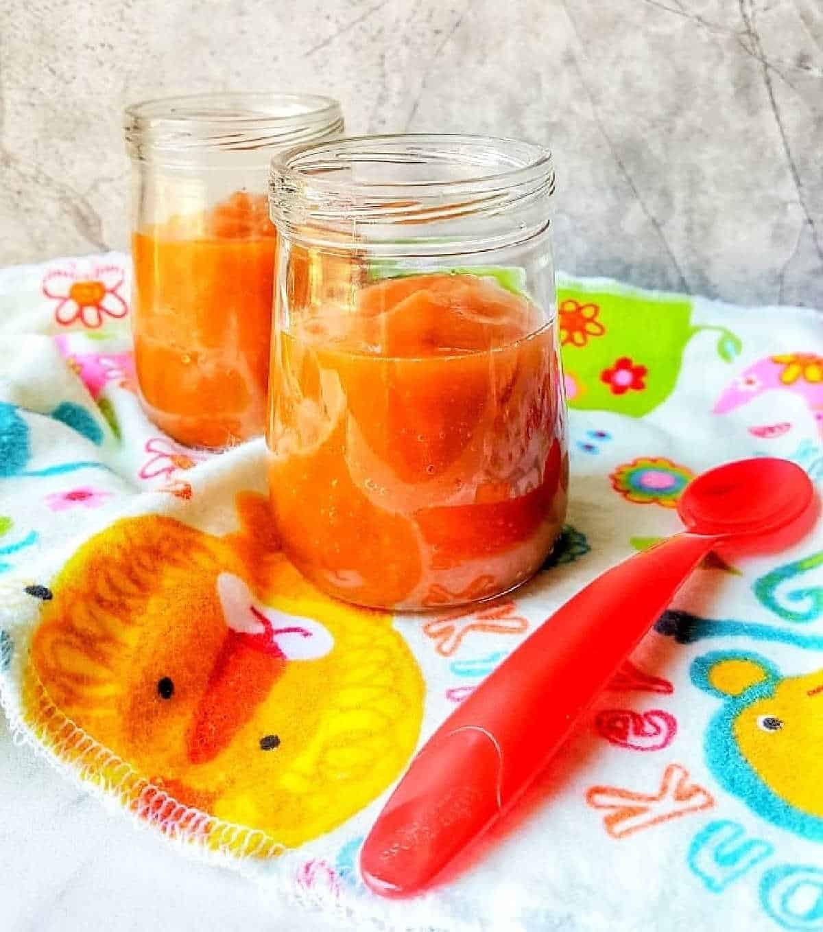 Homemade Baby Food (Stage 1)