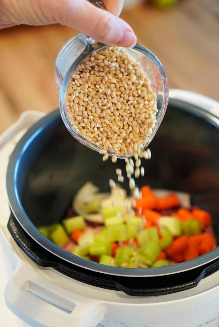 Instant Pot Barley Soup Vegetarian