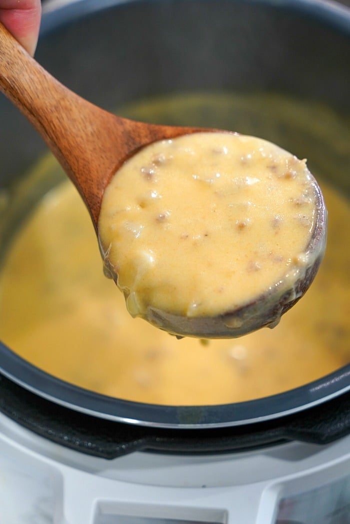 instant pot beer cheese soup