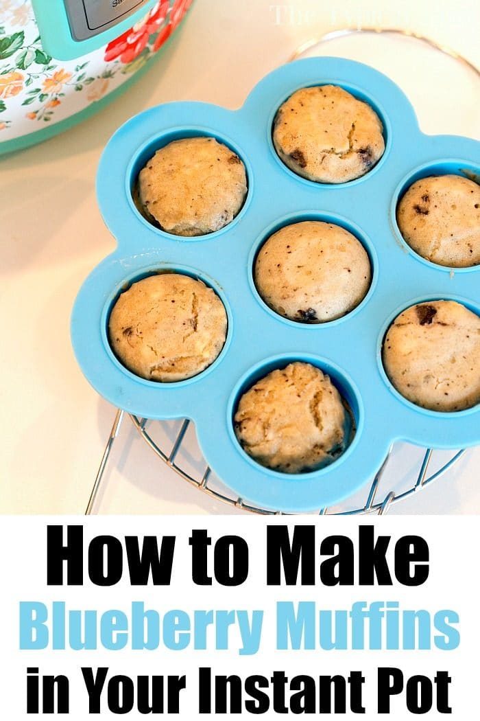 pressure cooker blueberry muffins