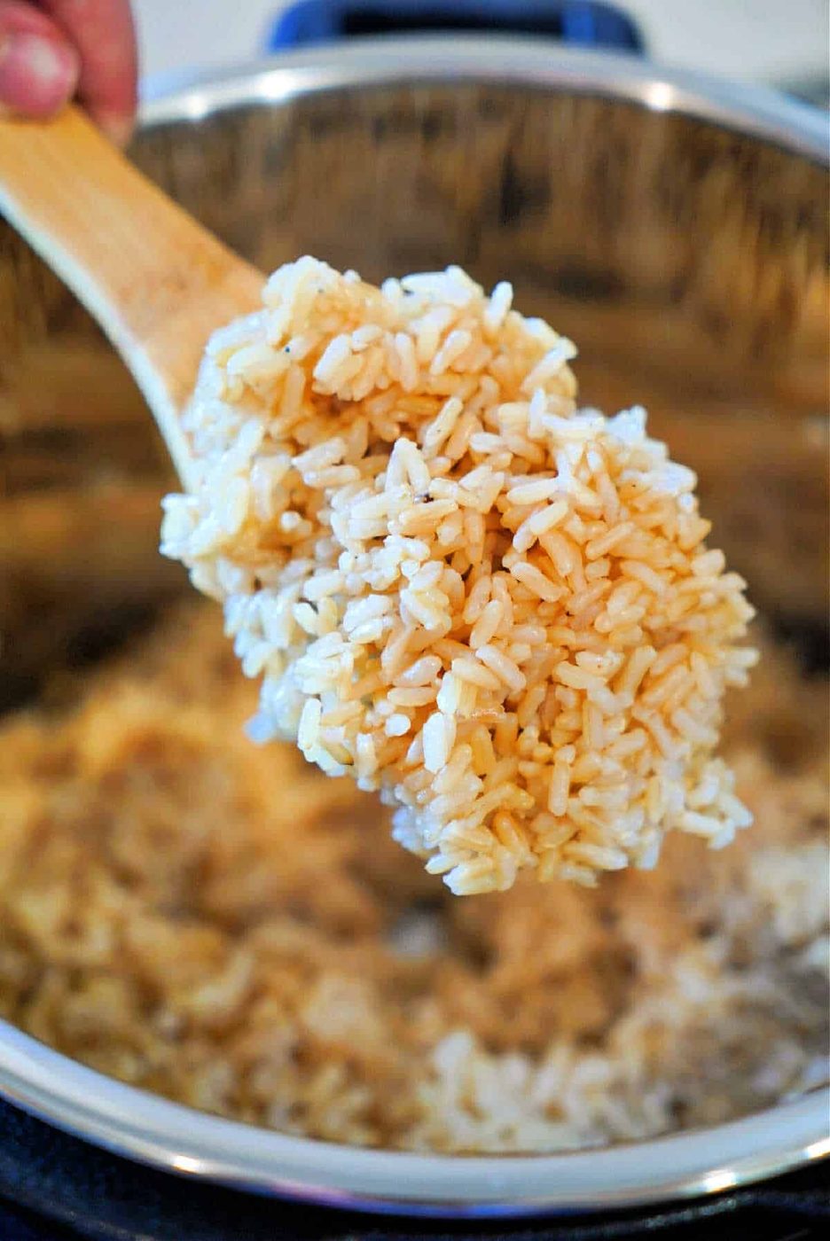 Instant Pot Brown Rice