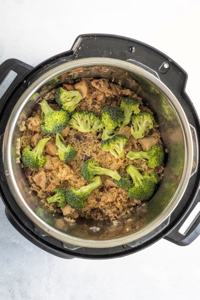 Instant Pot Chicken broccoli Rice