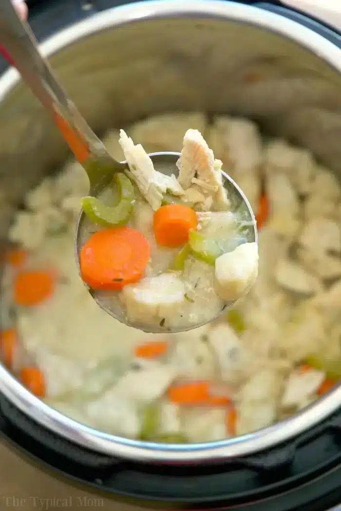 Instant Pot Chicken and Dumplings with Biscuits