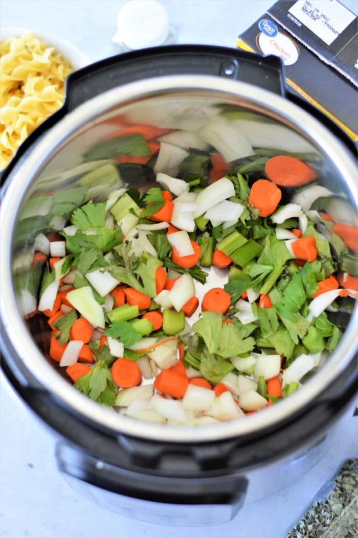 instant pot soup
