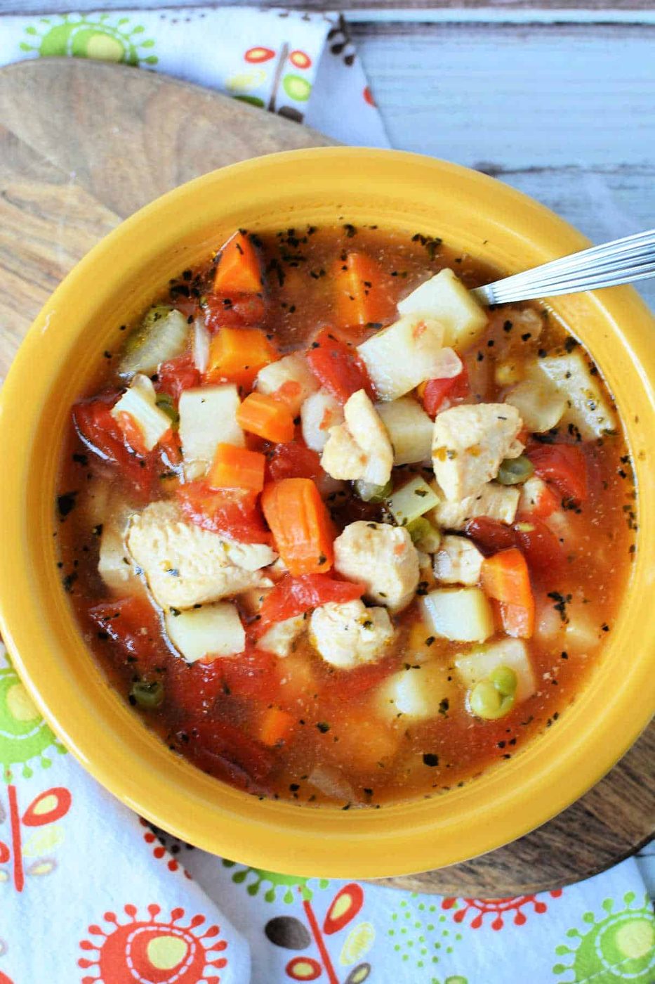 Instant Pot Chicken Vegetable Soup