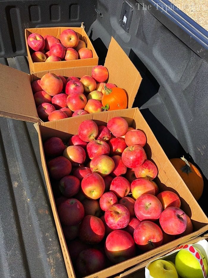 Cardboard boxes filled with red apples are stacked in the back of a truck, ready to be transformed into good treats like instant pot cranberry applesauce.