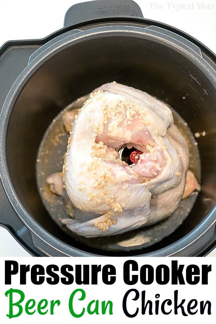 A whole raw chicken seasoned with garlic inside an instant pot for dinner recipes.