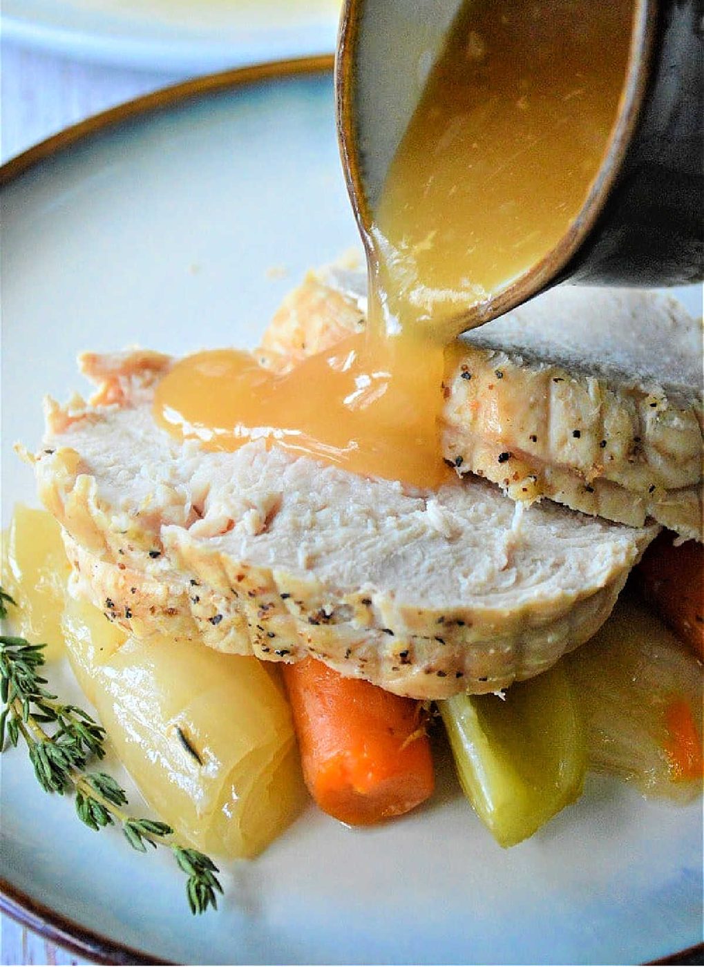 Instant Pot Frozen Turkey Breast