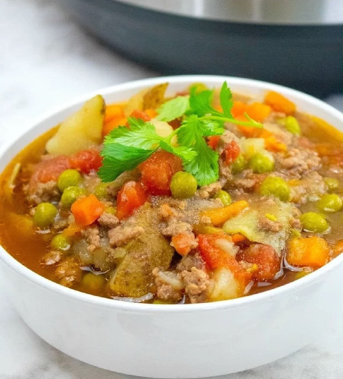 Instant Pot Hamburger Soup