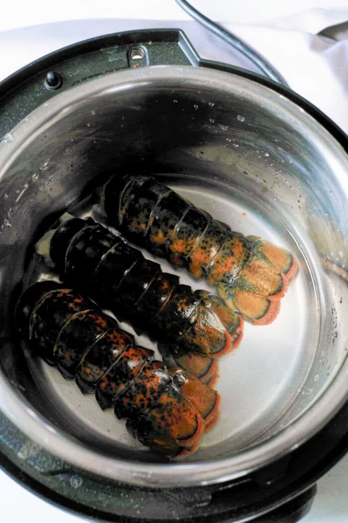 Ninja Foodi Lobster Tail
