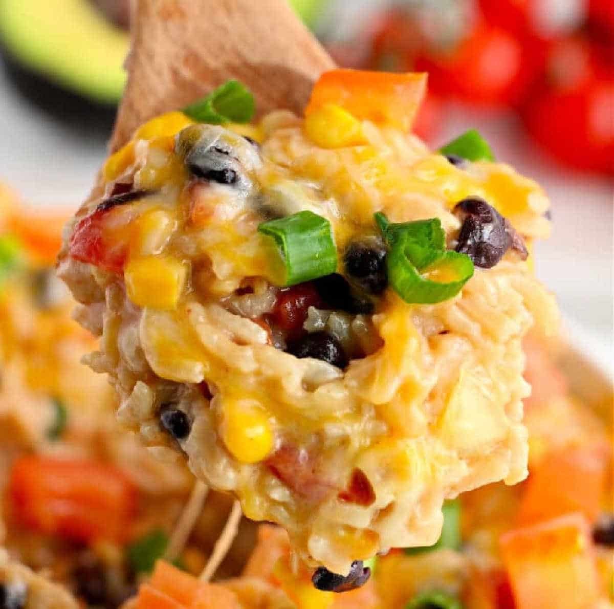 Instant Pot Mexican Chicken and Rice