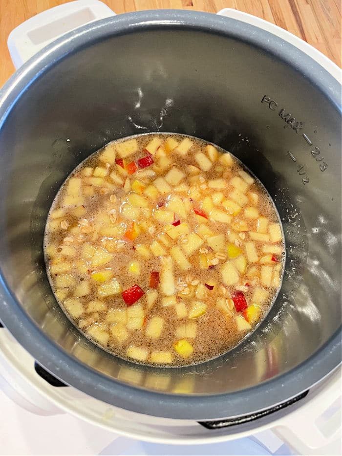 instant pot oatmeal
