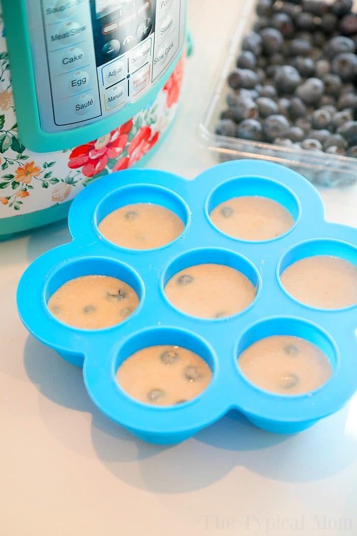 instant pot pancakes