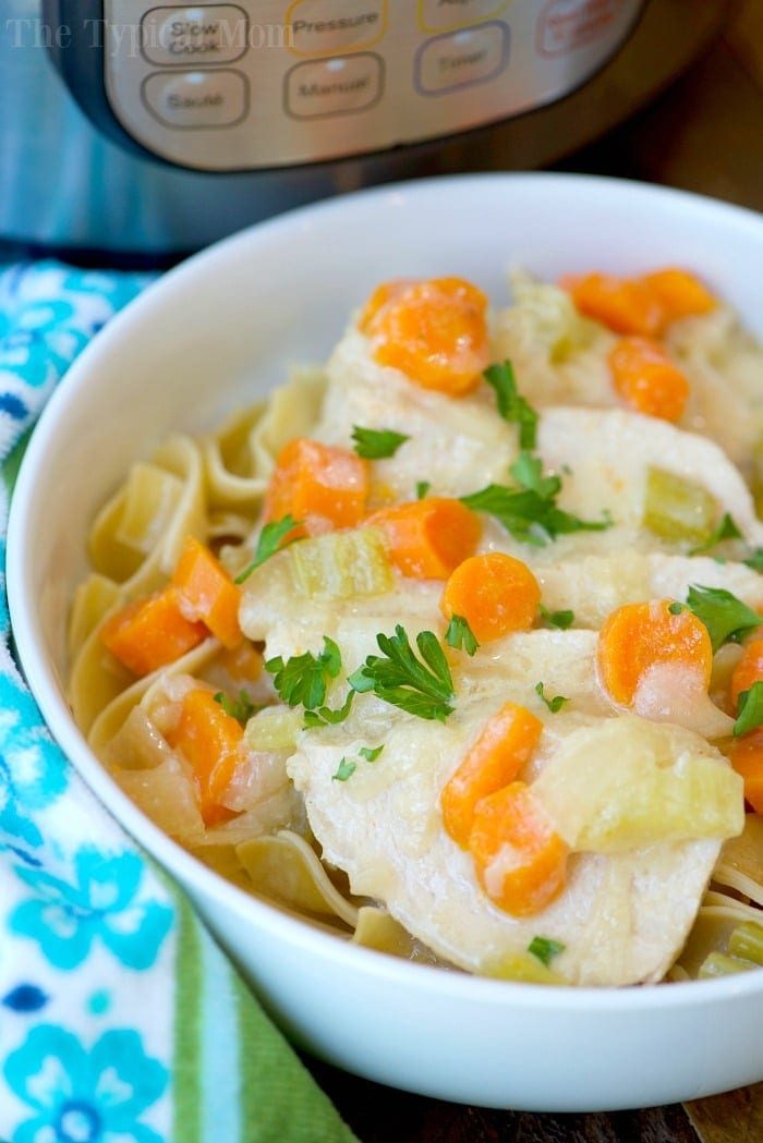 A bowl of creamy chicken stew with carrots and herbs, reminiscent of an Instant Pot pork stroganoff recipe, is placed invitingly in front of the cooker.
