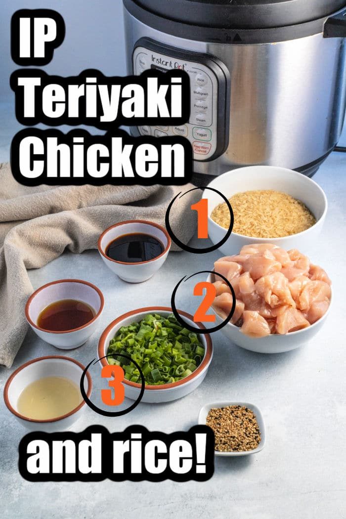 teriyaki chicken and rice instant pot