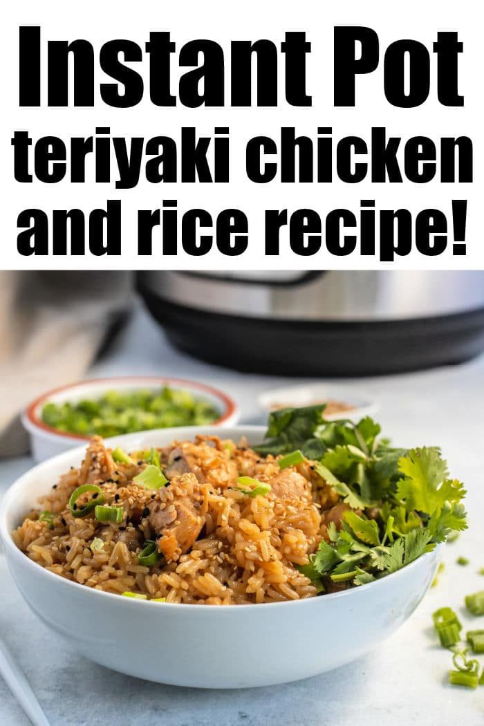 Instant Pot Teriyaki Chicken and Rice