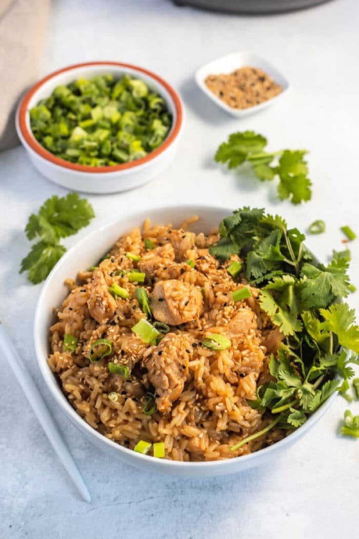instant-pot-chicken-and-rice