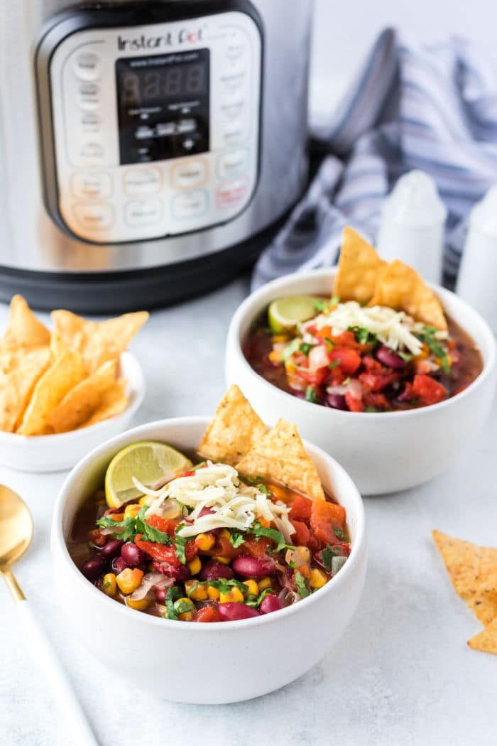 Instant Pot Vegetarian Soup